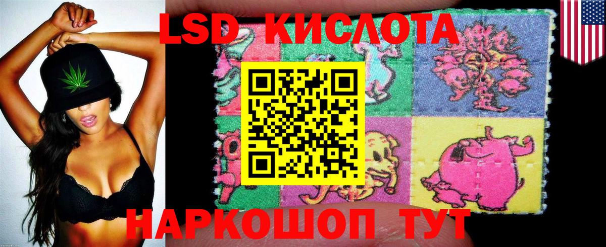Жуковский  Наркотические марки 1500мкг  Вход с VPN  Наркотические марки 1500мкг 