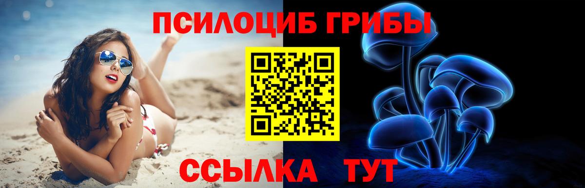 Псилоцибиновые грибы Psilocybe  Вход с VPN  Жуковский 